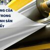 Ứng dụng của lò hơi trong quy trình sản xuất giấy